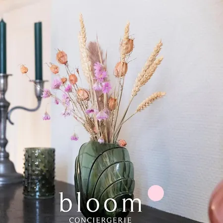 Centre 3 A 2 Pas De La Gare * Nancy